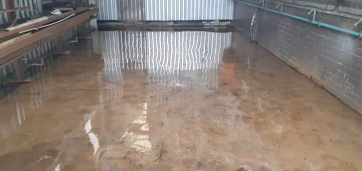 WhatsApp Image 2024-07-30 at 09.51.32_1a05ee41